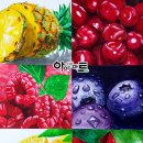 아이앤아트옥포캠퍼스미술학원 | [거제미술학원]아이앤아트 디자인기초 수업 - 개체묘사