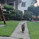 팔색조 펜션 이미지