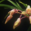 서반농장 이미지