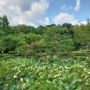 서림동-27 이미지