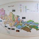 석탄(중석) 이미지