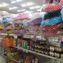 빠찌애견 이미지