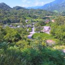 도심다원 이미지