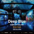 장 미디어 | 13개월 돌아기와 워커힐 빛의시어터 미디어아트 관람 및 빛의라운지 이용 후기