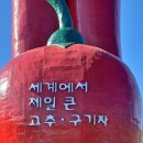 천장호 출렁다리 이미지