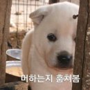 월 이미지