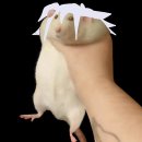 미방약국 이미지