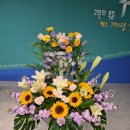 2026년 4월 2주 성전 꽃꽂이 - La belle fleur 블로그에서 이미지