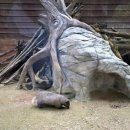 부산광역시 남구 자전거보관소 | 10월 울산대공원 장미원 동물원 메타세콰이어 숲길 방문 자전거 대여후기