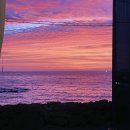 스테이 매기 이미지