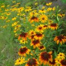 산너머남촌 이미지