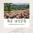 대신터널-광주 | 전남 화순 남산공원 수국 명소 개화상태 주차 유모차 야간 조명 6.30.방문 후기