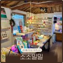 어른들을위한원데이그림책여행 | 경주 황리단길 그림책서점 소소밀밀 아이랑 가기 좋은 감성책방 방문 후기