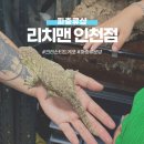 남촌로 | 인천 파충류샵 추천 ㅣ 크리스티드게코 초보도 든든했던 리치맨 인천점 방문 후기
