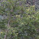 광릉솔개캠핑장 이미지