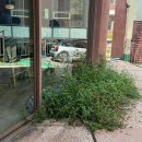 회현2길 | 남대문 회현역 맛집 회현식당, 고급스러운 생선 정식 후기