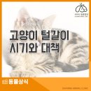 관양동물병원 이미지