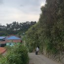 영자네민박 이미지