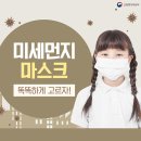 약사의선택