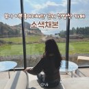 용머리주차장화장실 | 제주도 서귀포 산방산 카페 용머리해안 뷰 맛집 카페 &#34;소색채본&#34;