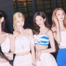 나인 bnt뉴스