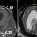 24시 성심동물메디컬센터 이미지