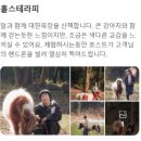 제주목장 | 70년 만에 공개된 제주 서귀포 대한목장 카페 홀리랜드 후기