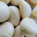 분토골농장 이미지