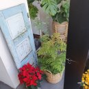 보태니컬 플랜(Botanical Plan)