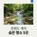 아침가리 계곡 캠핑장 | 강원도 물맑은 숨은 계곡 추천 5곳! 2026년 여름, 사람 적고 깨끗한 힐링 명소