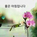 님과 벗 / 김소월 이미지