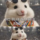 판다공작소 | 1월은 심신 안정의 달