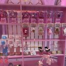 로얄룸클럽 이미지