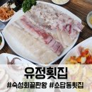 더(The) 두툼(숙성회) | 창원 소답동 맛집 유정횟집, 두툼하고 찰진 고급어종 숙성회 솔직후기