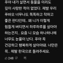 푸바오애견 이미지