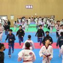 원 태권도장 이미지