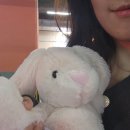 쁘띠몽몽 이미지