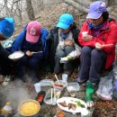 제일농원 이미지