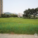 중산동 고분군 이미지