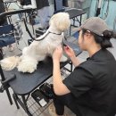 요술가위미용실 이미지