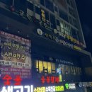 달해호프 | 생맥주 왕시원하고 맛있는 송정역 1등 맥주집 일번지호프