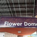 더베이 | 싱가포르 &#34;가든스 바이 더 베이&#34; 후기