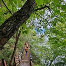 소양강둘레길 1코스 이미지