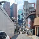 태양미트 이미지