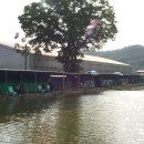 작은연못낚시터 이미지