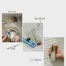 별그대 | 가성비 셀프 탯줄도장 그대별 내돈내산 후기