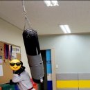 반야월태권도장 이미지