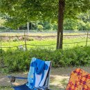 산바라기펜션 이미지