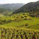 오도산 자연휴양림 이미지