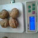 여주-0748 이미지